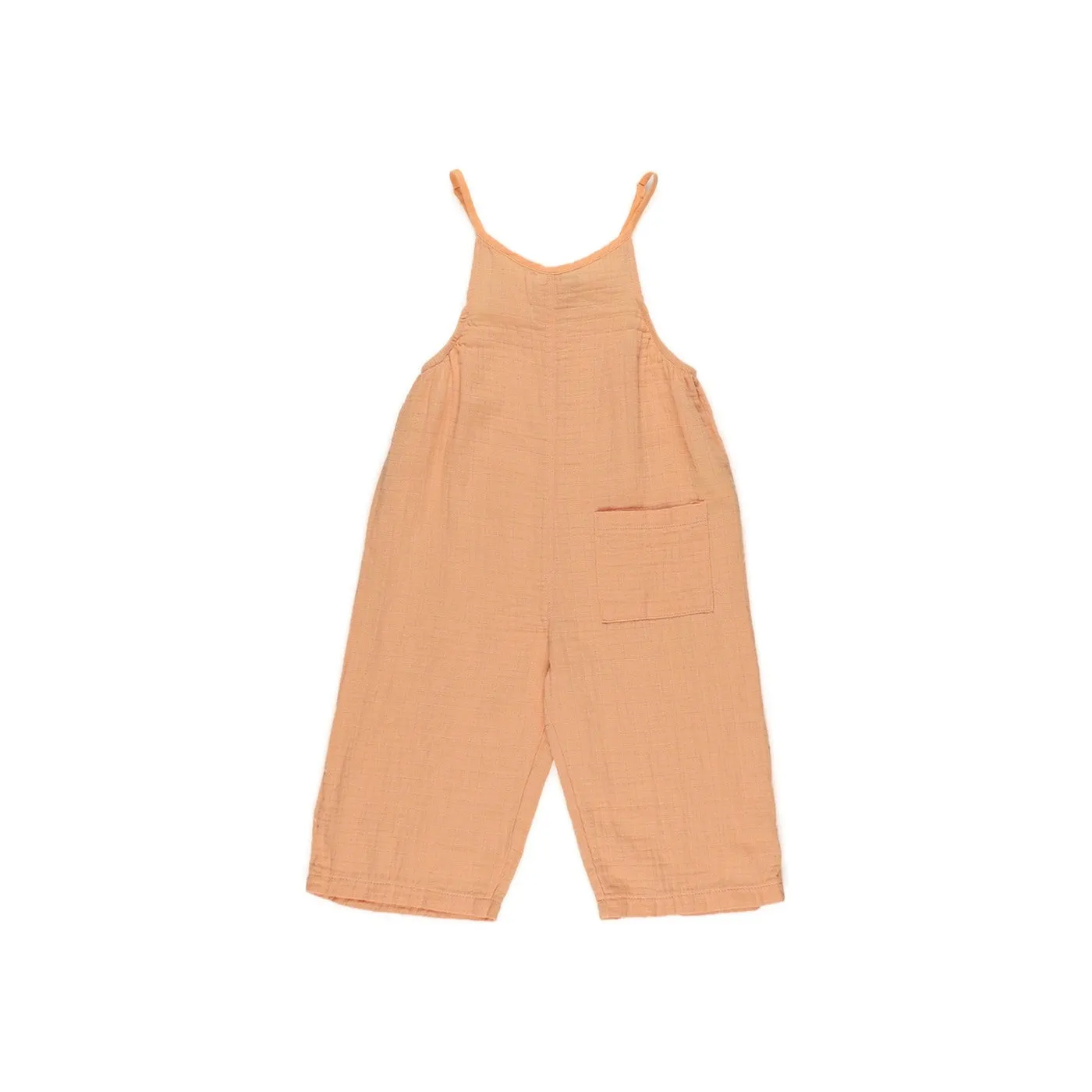 Panco Overall Bio